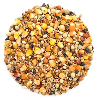 Elpol karma Pierzeniowa dla gołębi 25 kg